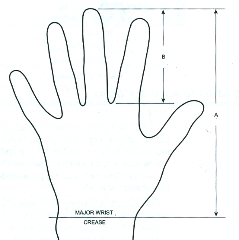 hand size